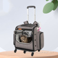 Outdoor Cat and Carrying Bag Travel Suitcase Pet